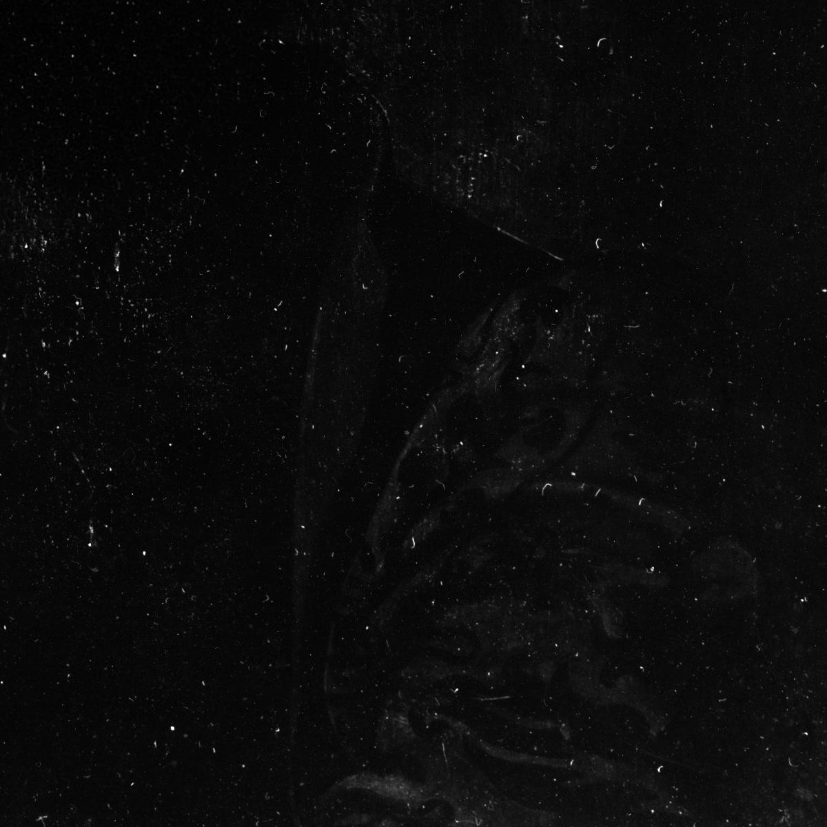 Seal nail jewelry product background